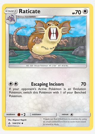 Raticate — catalogusbeeld