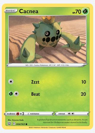 Cacnea — catalogusbeeld