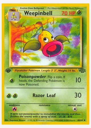 Weepinbell — catalogusbeeld