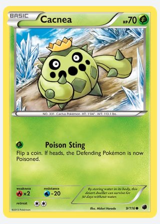 Cacnea — catalogusbeeld