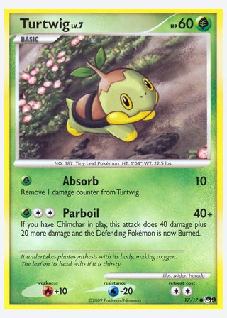 Turtwig — catalogusbeeld