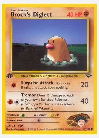 Brock's Diglett — catalogusbeeld