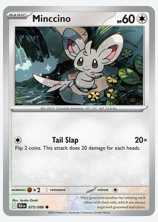 Minccino — catalogusbeeld