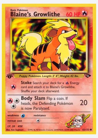 Blaine's Growlithe — catalogusbeeld