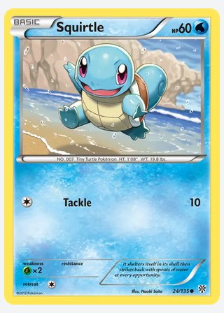 Squirtle — catalogusbeeld
