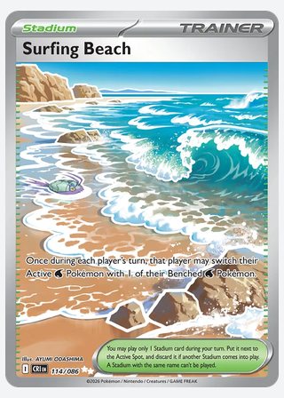 Surfing Beach — catalogusbeeld