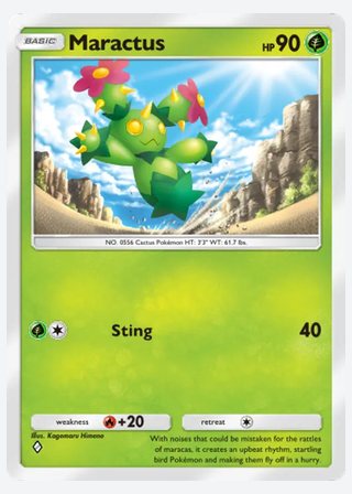 Maractus — catalogusbeeld