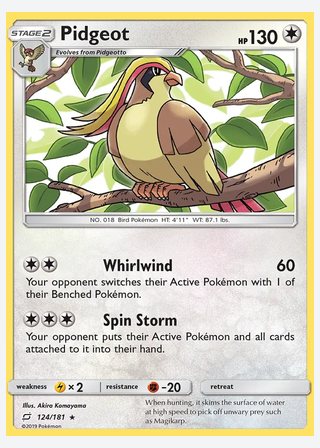 Pidgeot — catalogusbeeld