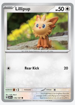 Lillipup — catalogusbeeld