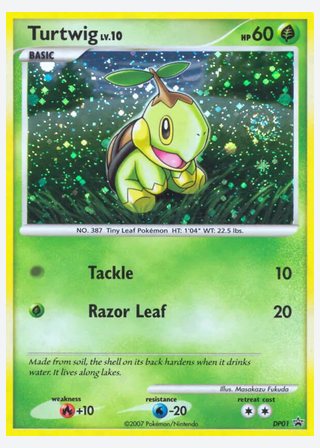 Turtwig — catalogusbeeld