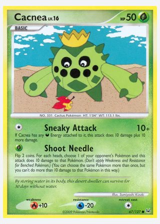 Cacnea — catalogusbeeld