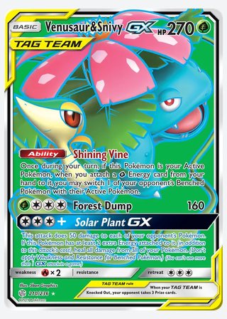 Venusaur & Snivy GX — catalogusbeeld
