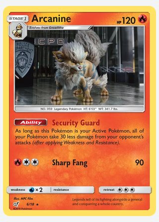 Arcanine — catalogusbeeld