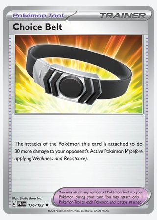 Choice Belt — catalogusbeeld
