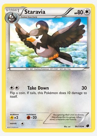 Staravia — catalogusbeeld