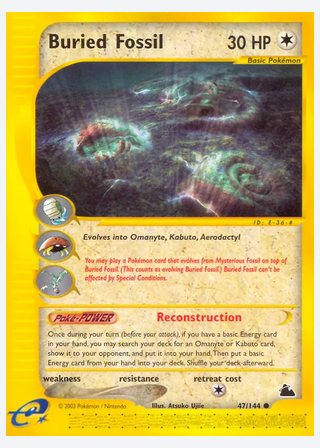 Buried Fossil — catalogusbeeld