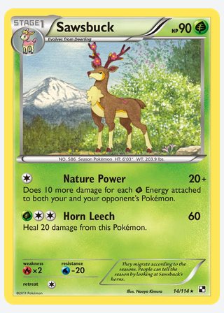 Sawsbuck — catalogusbeeld