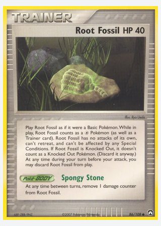 Root Fossil — catalogusbeeld
