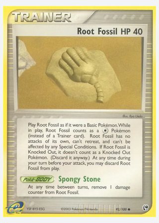Root Fossil — catalogusbeeld