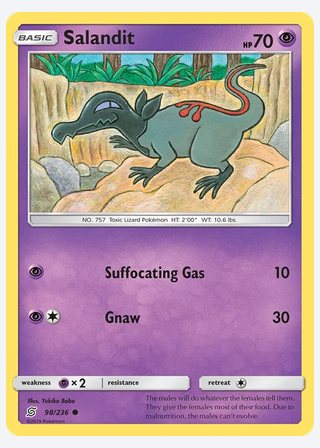 Salandit — catalogusbeeld