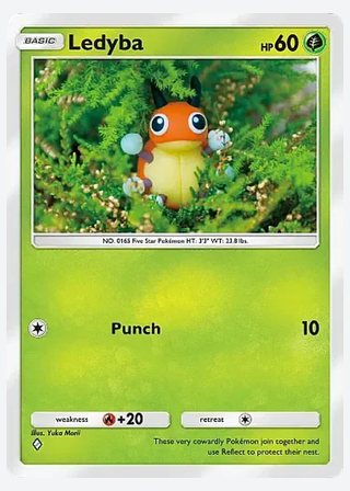 Ledyba — catalogusbeeld