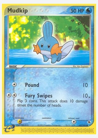 Mudkip — catalogusbeeld