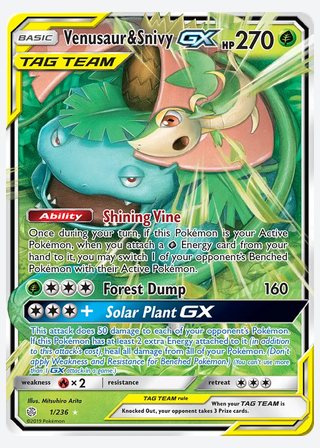 Venusaur & Snivy GX — catalogusbeeld