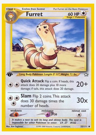 Furret — catalogusbeeld