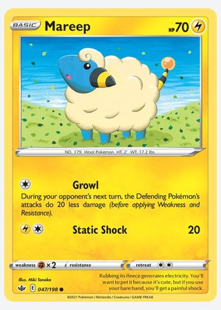 Mareep — catalogusbeeld