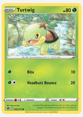 Turtwig — catalogusbeeld