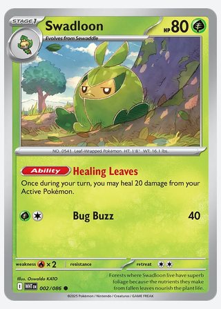Swadloon — catalogusbeeld
