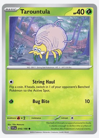 Tarountula — catalogusbeeld