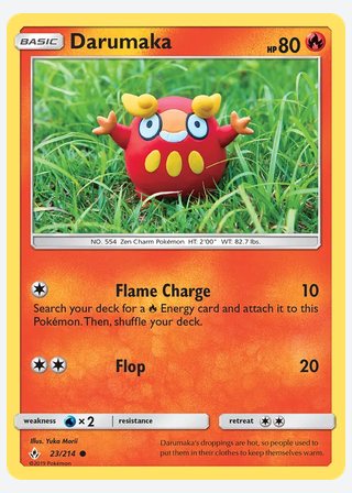 Darumaka — catalogusbeeld