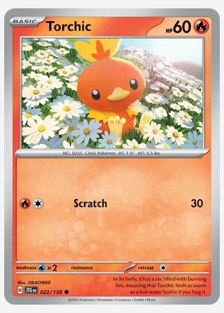 Torchic — catalogusbeeld