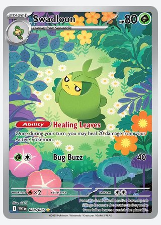 Swadloon — catalogusbeeld