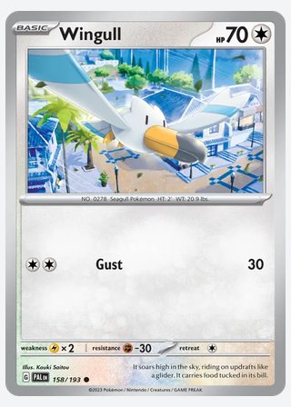 Wingull — catalogusbeeld