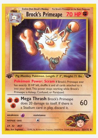 Brock's Primeape — catalogusbeeld