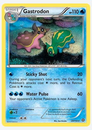 Gastrodon — catalogusbeeld
