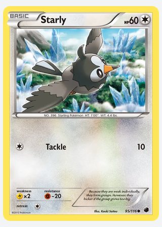 Starly — catalogusbeeld