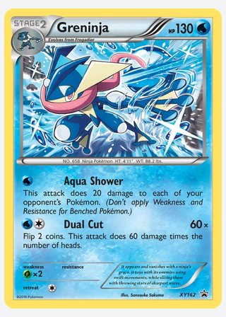 Greninja — catalogusbeeld