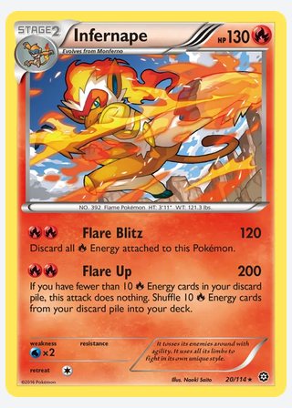 Infernape — catalogusbeeld