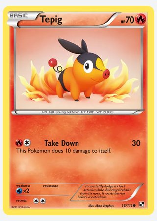 Tepig — catalogusbeeld