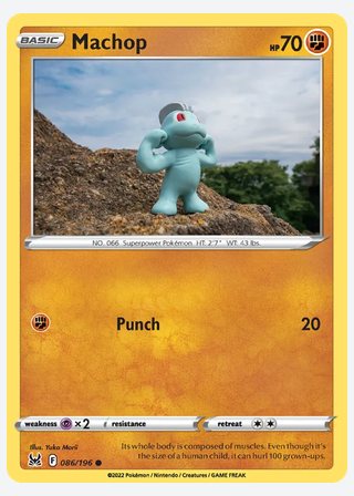 Machop — catalogusbeeld