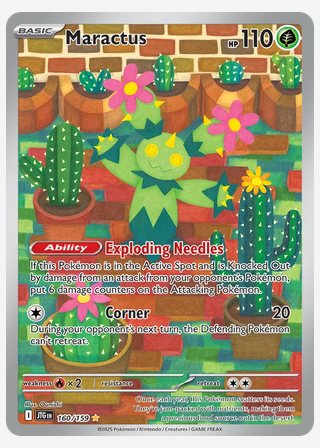 Maractus — catalogusbeeld