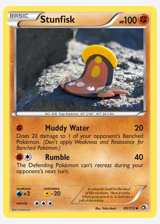 Stunfisk — catalogusbeeld