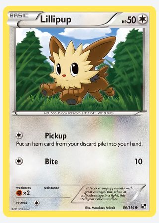 Lillipup — catalogusbeeld