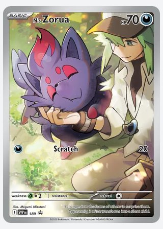 N's Zorua — catalogusbeeld