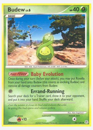 Budew — catalogusbeeld
