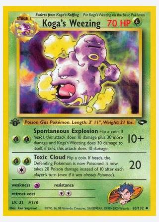 Koga's Weezing — catalogusbeeld