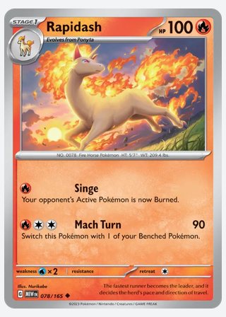 Rapidash — catalogusbeeld